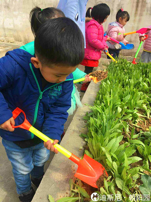 迪斯尼幼儿园·朝阳园举行植树节活动