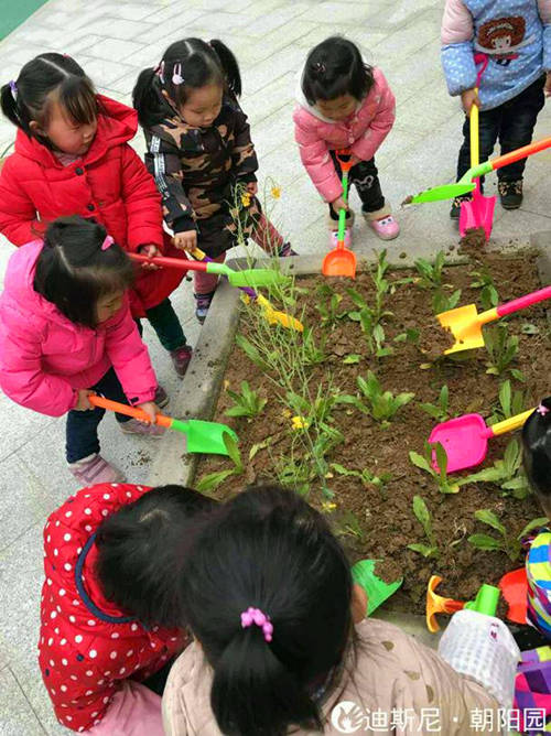 迪斯尼幼儿园·朝阳园举行植树节活动