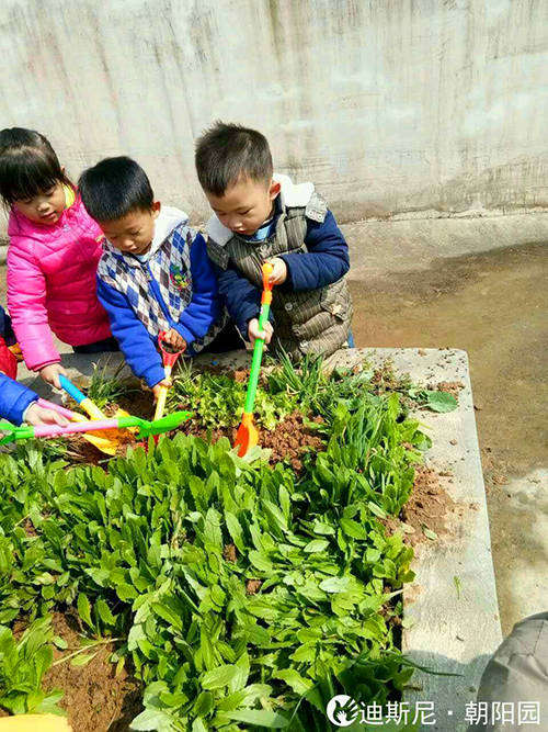 迪斯尼幼儿园·朝阳园举行植树节活动