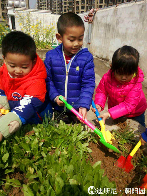 迪斯尼幼儿园·朝阳园举行植树节活动