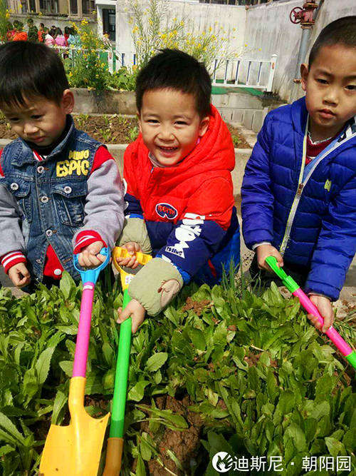 迪斯尼幼儿园·朝阳园举行植树节活动